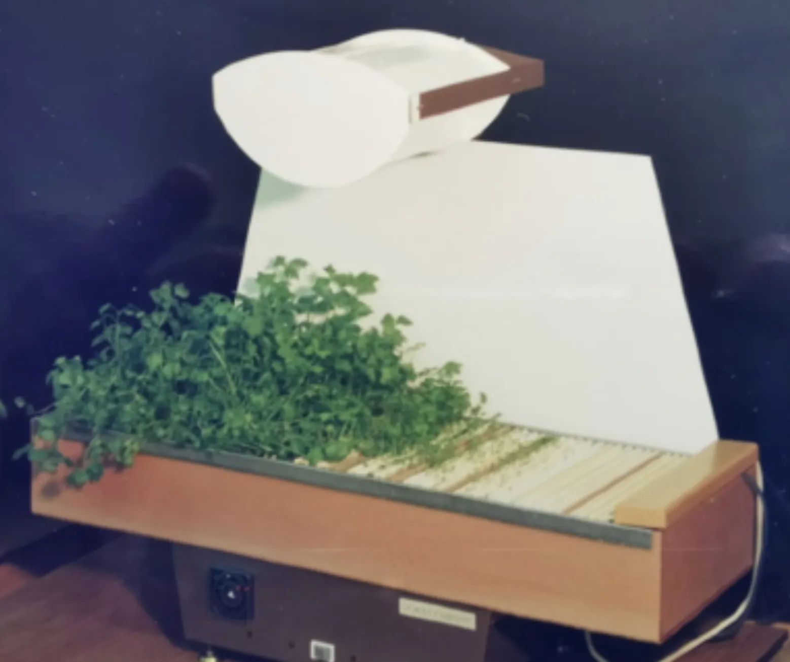 Fitotech 1990