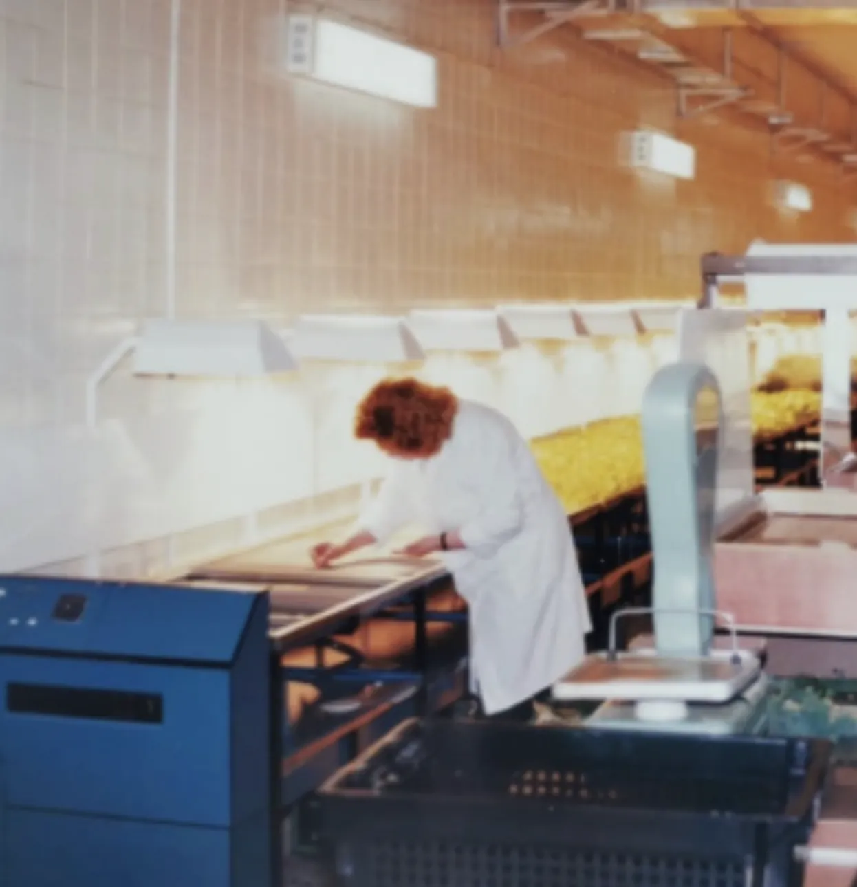 Fitotech 1997