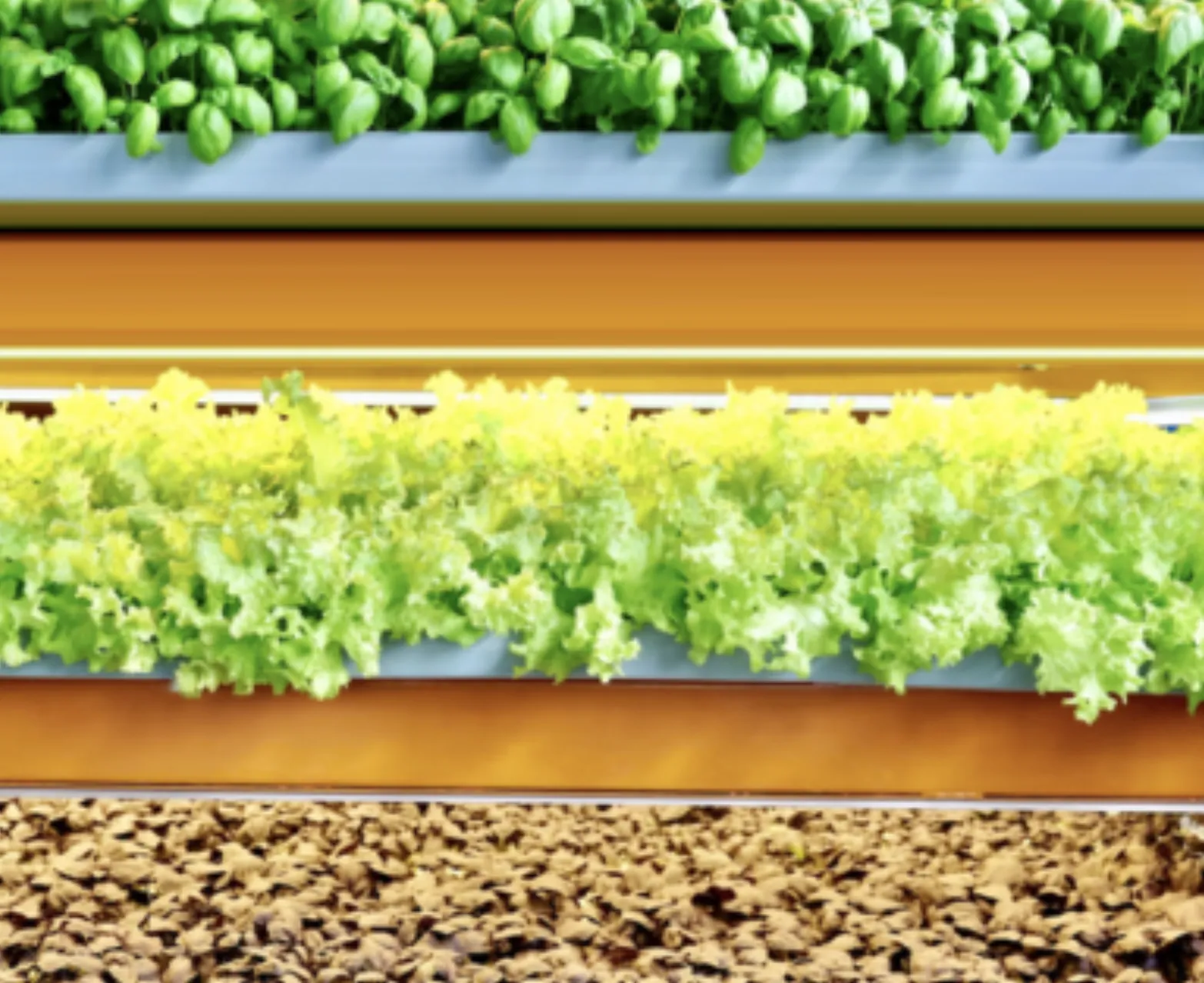Conveyor production