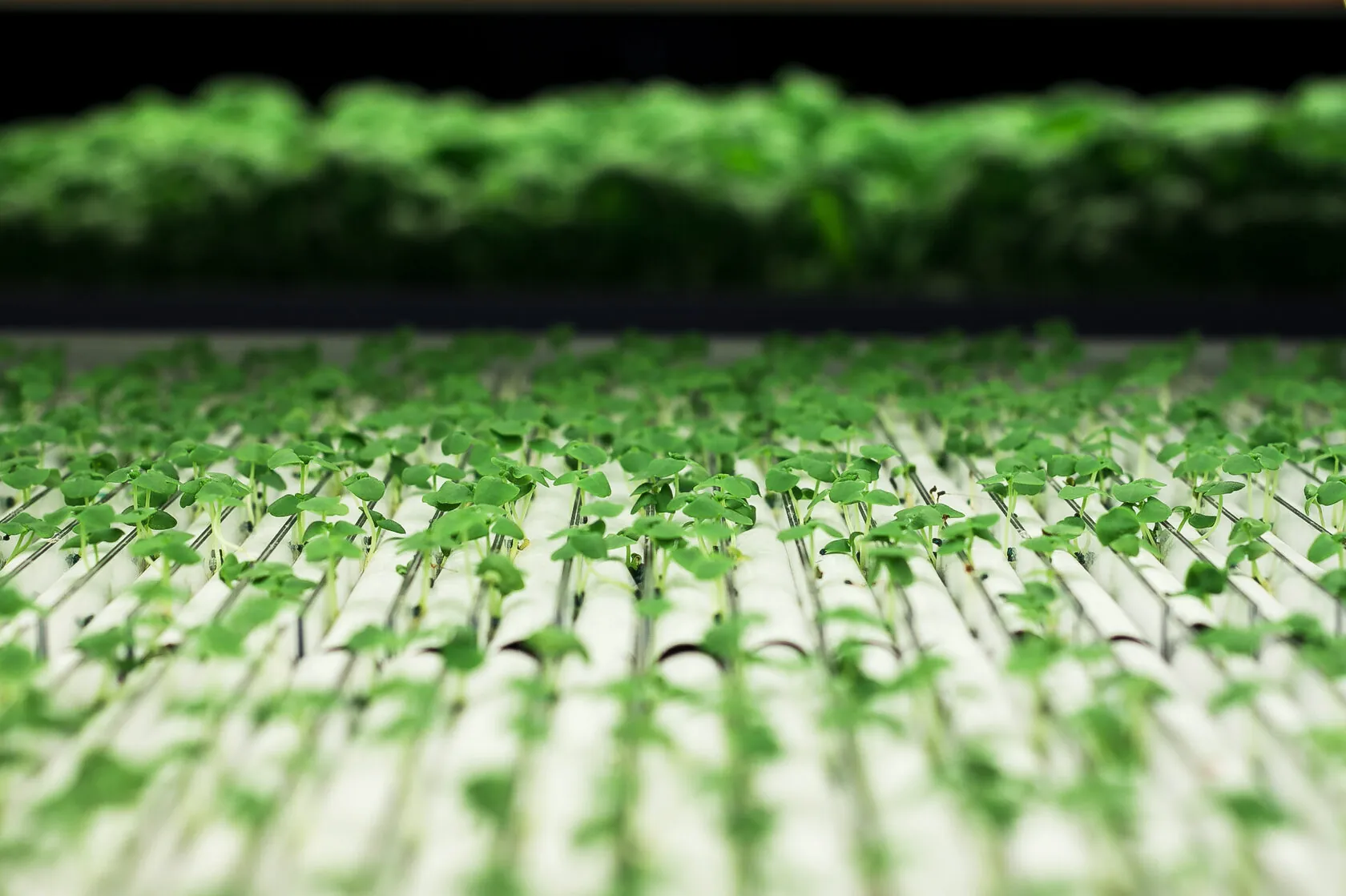 Conveyor production