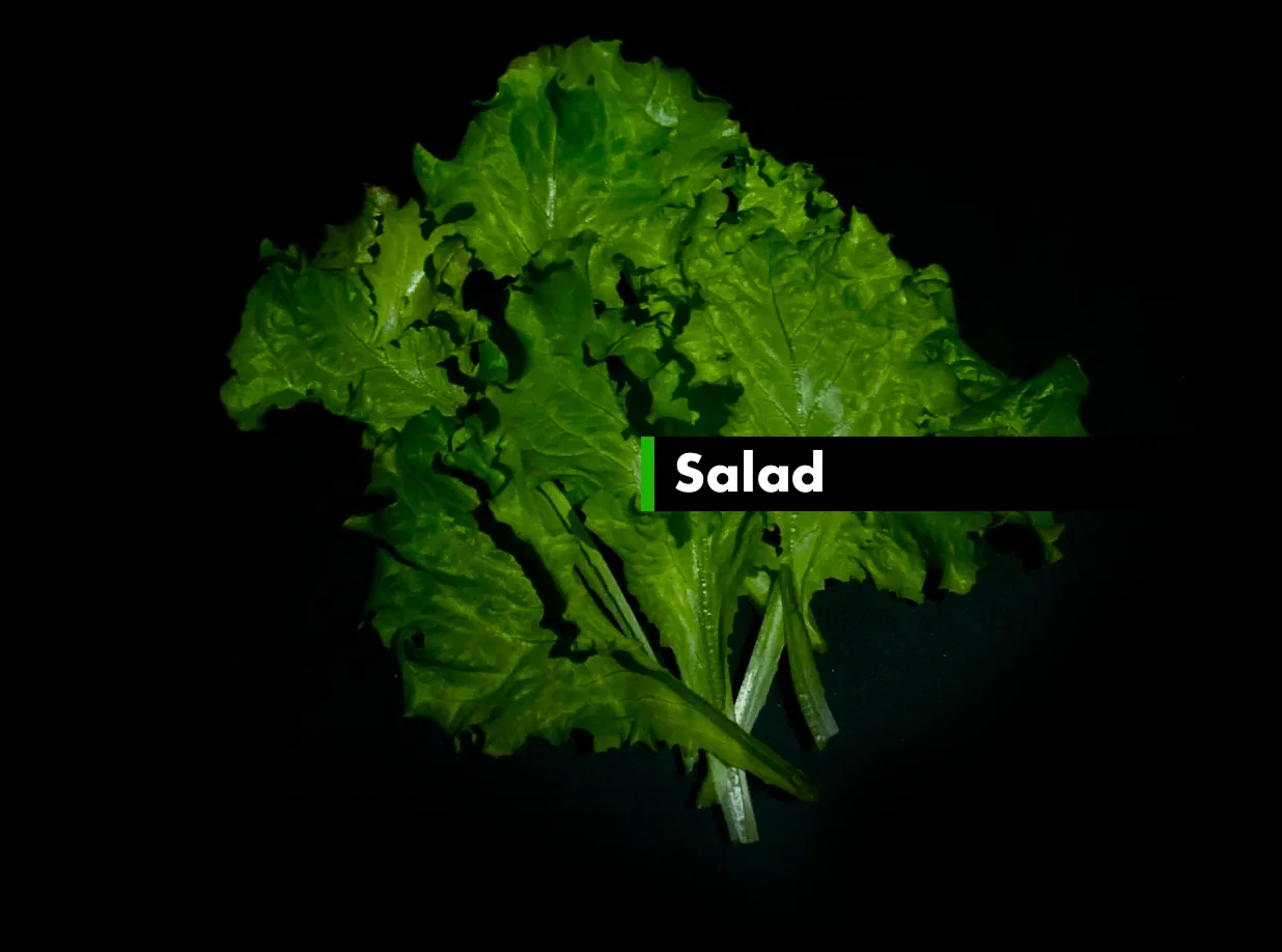 Salad