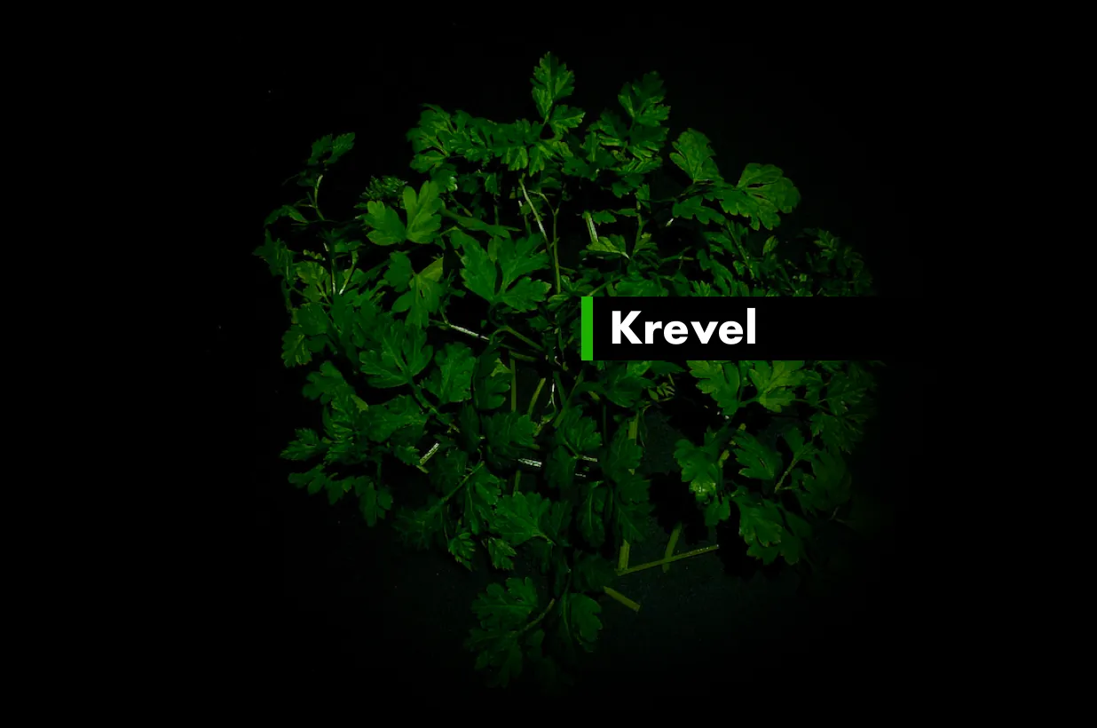 Krevel